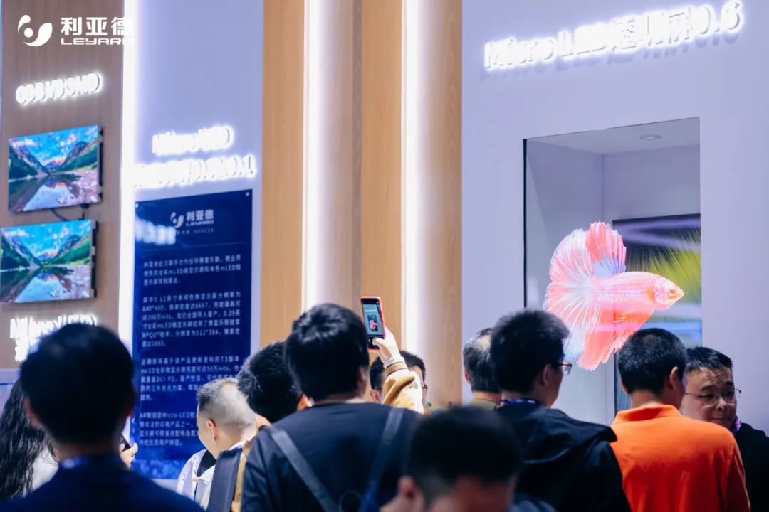 澳门新莆京游戏app大厅-官网入口