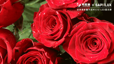 澳门新莆京游戏app大厅-官网入口